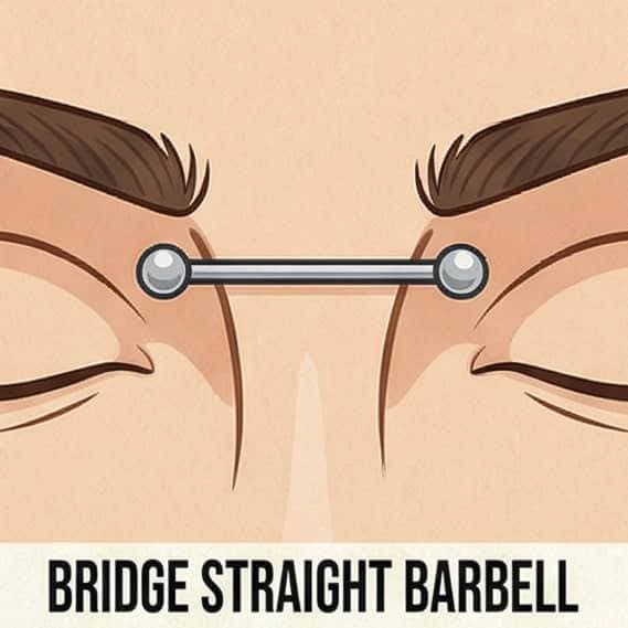 Bridge Straight Barbell