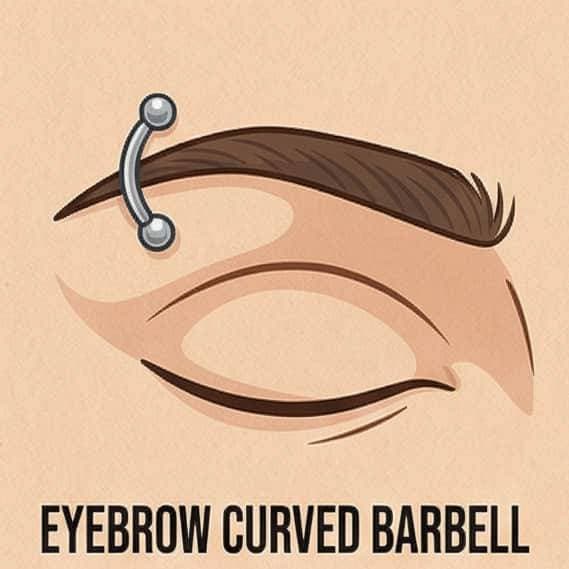Eyebrow Curved Barbell
