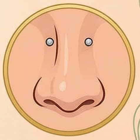 High Nostril Double Studs