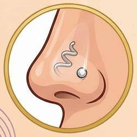Nose Screw Stud