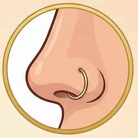 콧볼 얇은 후프 링