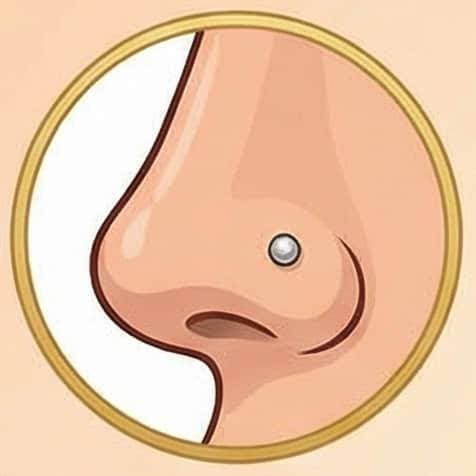 Nostril Tiny Stud