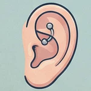 Rook Curved Barbell