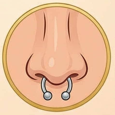 Septum Horseshoe Ring